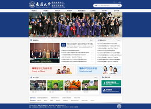 網(wǎng)絡營銷與網(wǎng)絡軟件開發(fā) 數(shù)字化時代的雙輪驅動