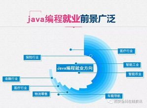 學互聯(lián)網(wǎng)軟件開發(fā)，做新時代自由高薪一族
